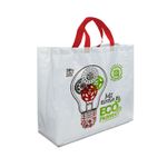 Bolso-ecologico