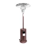 Calentador-Gas-T-Hongo-A-Inox-41000Btu-Brnc