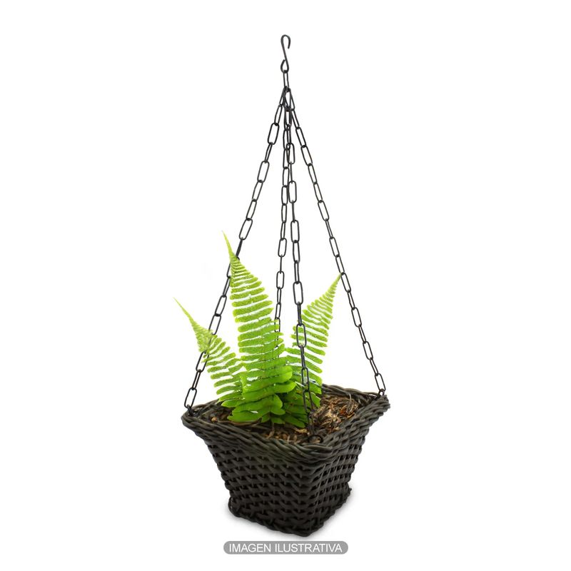 Canasta-Tejida-Tocota-18Cm-Wengue