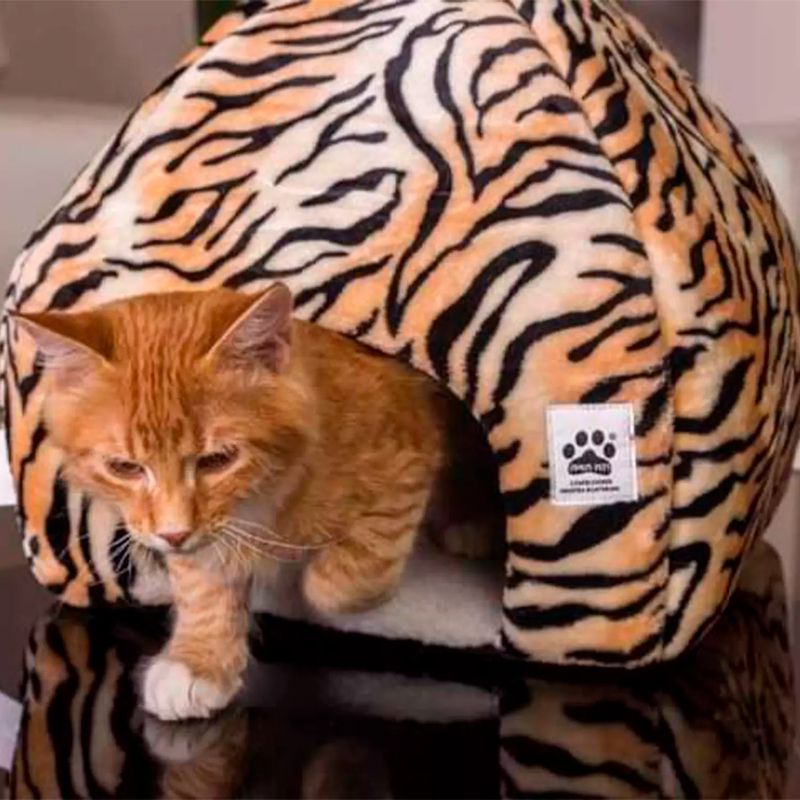 Casa-Lona-T-Igloo-P-Mastoca-Pinkis-Pets
