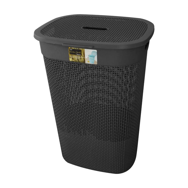 Vista principal