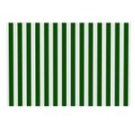 Cobertor-P-Toldo-Retrac-290X2Mt-Verde-Blanco