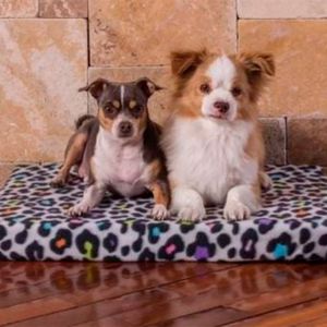 Colchoneta P/Mascota Doble T10 Pinkis Pet - PINKIS PETS
