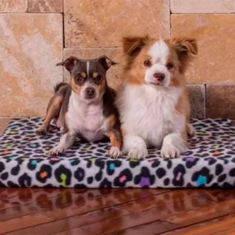 Colchoneta-P-Mascota-Doble-T10-Pinkis-Pet