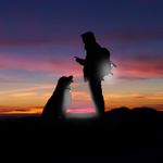Collar-P-Mascota-C-Clip-Luz-Seguridad