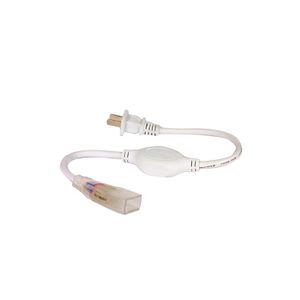 Control Fijo P/20Mt Manguera Led Doble - LSC