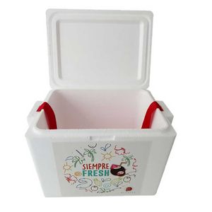 Cooler 18Litros 36.5Cmx27.5Cmx28.5Cm Plaste - PLASTEX