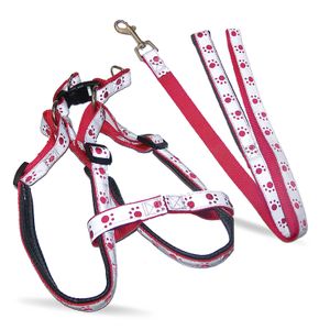 Correa P/Perro Talla S Unicolor Vanderpe - VANDER PET