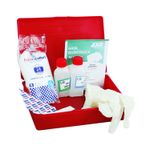 Kit-D-Seguridad-P-Auto-C-Extintor-5Lbs-5Lbs