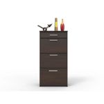 Zapatera-Apis-3-Puertas-1-Cajon