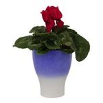 Portamaceta-Circular-155Mm-Azul-Decora-Baba