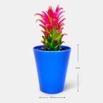 Portamaceta-Orquidea-Azul