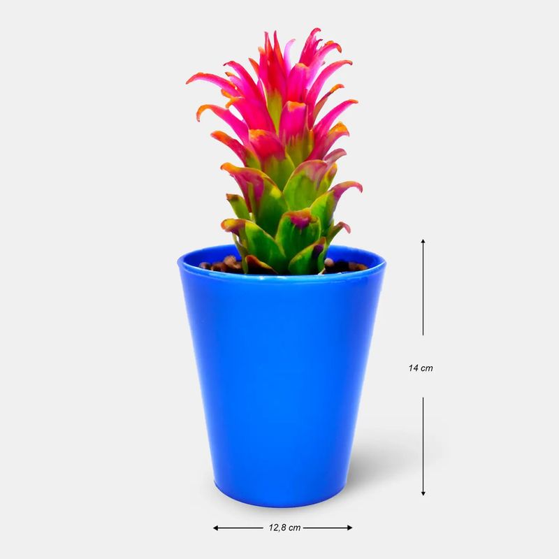Portamaceta-Orquidea-Azul