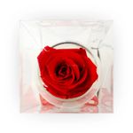 Rosa-Preservada-Roja-En-Copa-Cristal