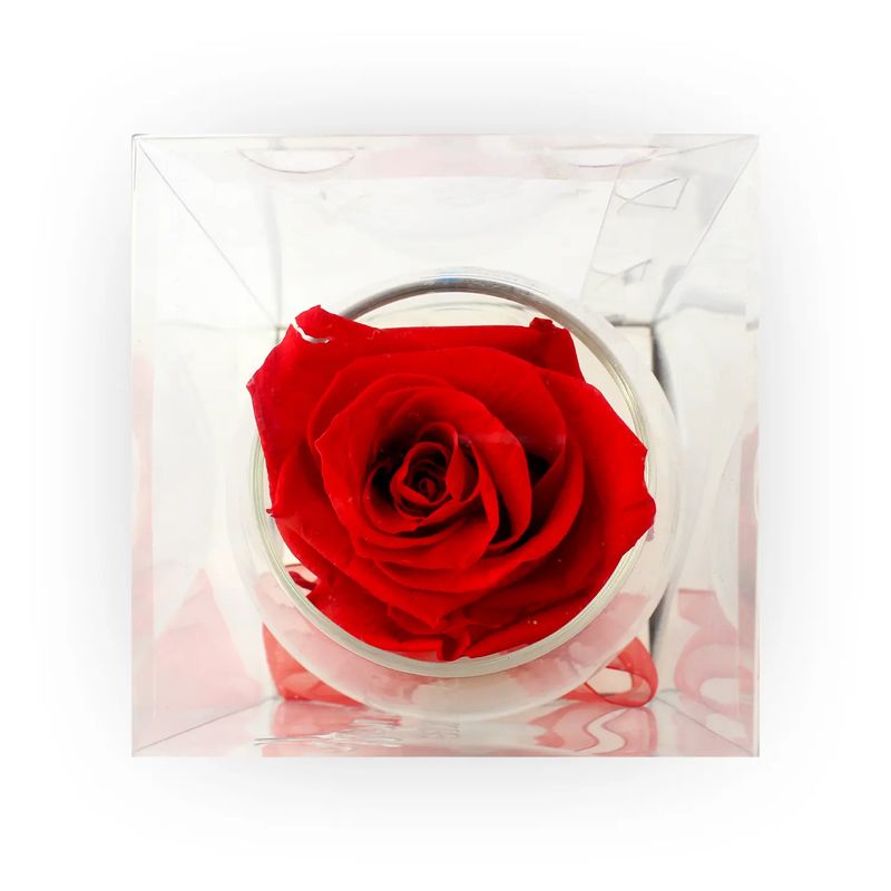 Rosa-Preservada-Roja-En-Copa-Cristal
