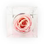 Rosa-Preservada-Rosada-En-Copa-Cristal