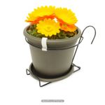 Duo-Porto-18-Cms-Wengue-Balcon