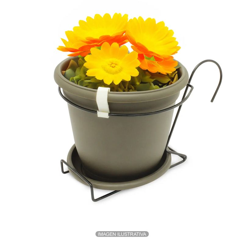 Duo-Porto-18-Cms-Wengue-Balcon