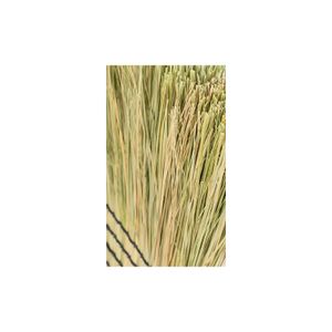 Escoba 700 Fibras Naturales Reynera Global - REYNERA GLOBAL