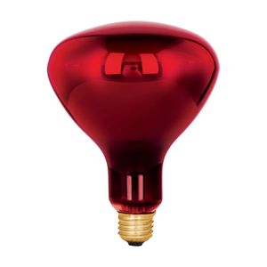 Lámpara BR-40 250 W tipo reflector infrarrojo terapéutico - VOLTECK