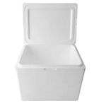Hielera-18Litros-36.5Cmx27.5Cmx28.5Cm-Plaste