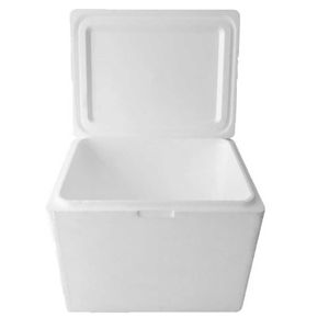 Hielera 18Litros 36.5Cmx27.5Cmx28.5Cm Plaste - PLASTEX