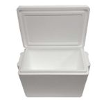 Hielera-40Litros-55Cmx36Cmx40.1Cm-Plastex