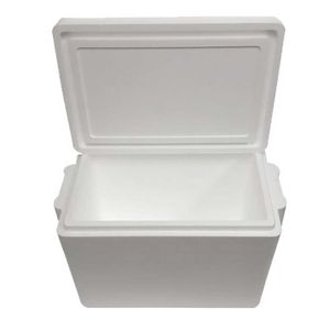 Hielera 40Litros 55Cmx36Cmx40.1Cm Plastex - PLASTEX