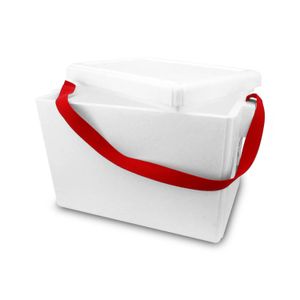 Hielera Termica 19Lt 47X28X30Cm - THERMOPACK