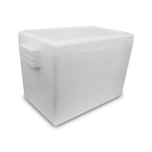 Hielera Termica 19Lt 47X28X30Cm - THERMOPACK
