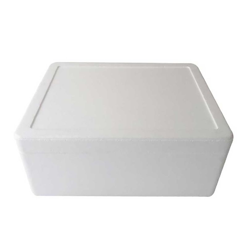 Hielera-Termica-40Cmx29Cmx13.5Cm-Plastex