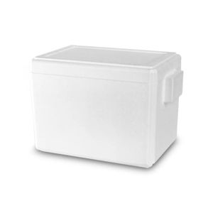 Hielera Termica 40Lt 55X35X36Cm - THERMOPACK