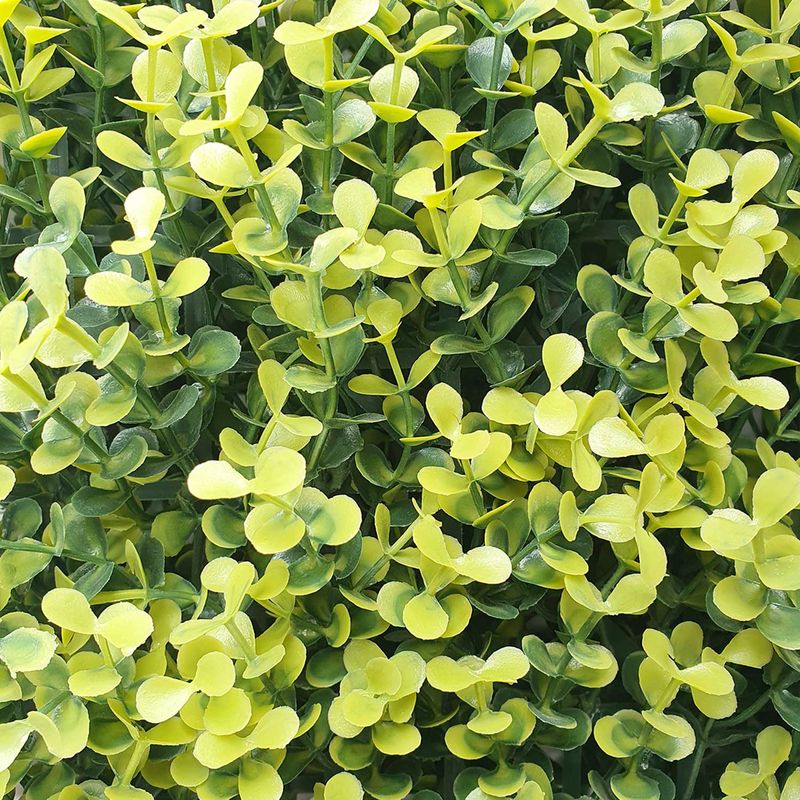 Jardin-Vertical-Citrus-50X50Cm-Fopadi