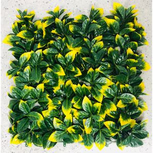 Jardin Vertical Cucarda Amaril 0.50X0.50 - CASTER