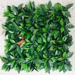 Jardin-Vertical-Cucarda-Roja-0.50X0.50