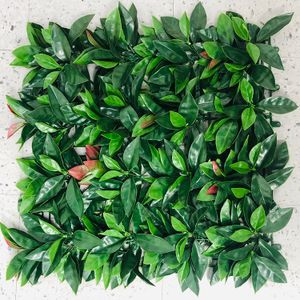 Jardin Vertical Cucarda Roja 0.50X0.50 - CASTER