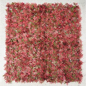 Jardin Vertical Estrella Roja 1.00X1.0 0 - CASTER