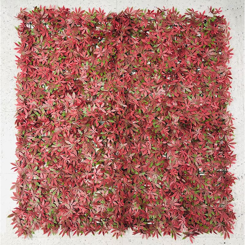 Jardin-Vertical-Estrella-Roja-1.00X1.0-0