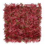 Jardin-Vertical-Estrella-Roja-0.50X0.50