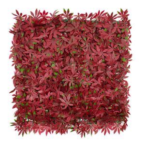 Jardin Vertical Estrella Roja 0.50X0.50 - CASTER