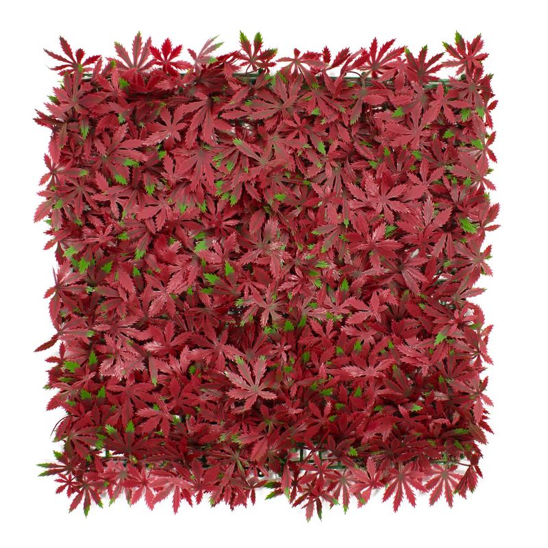 Jardin-Vertical-Estrella-Roja-0.50X0.50