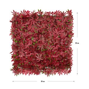 Jardin Vertical Estrella Roja 0.50X0.50 - CASTER