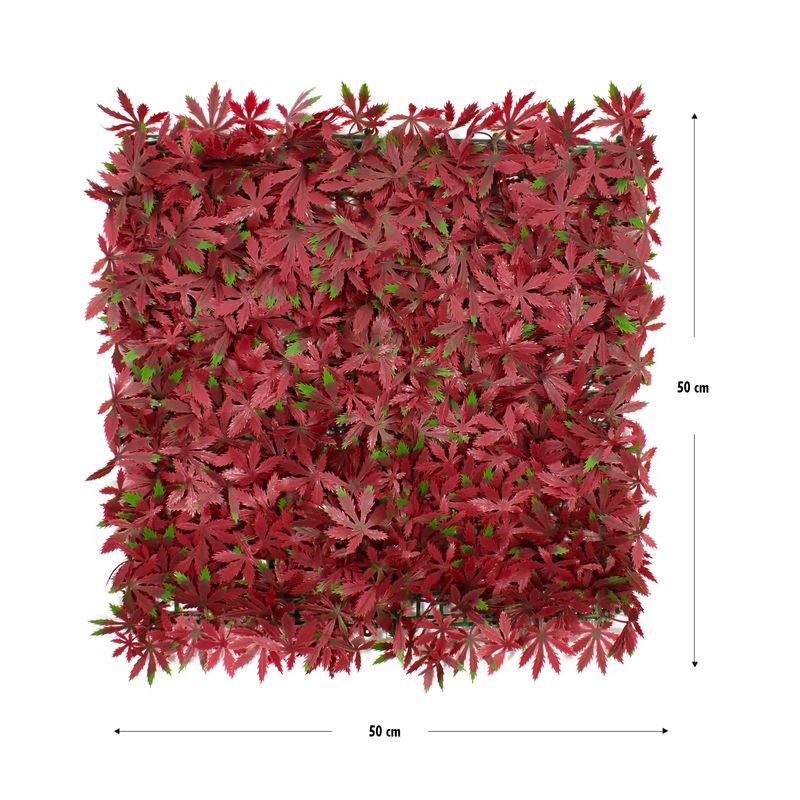 Jardin-Vertical-Estrella-Roja-0.50X0.50