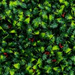 Jardin-vertical