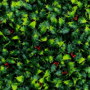 Jardin Vertical Hoja Espinas 50X50Cm - CASTER
