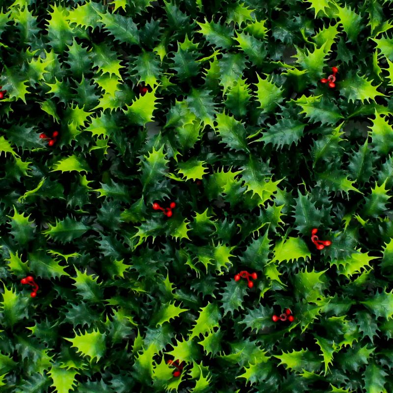 Jardin-vertical