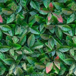 Jardin Vertical Jungle 50X50Cm Fopadi - CESPED ECUADOR