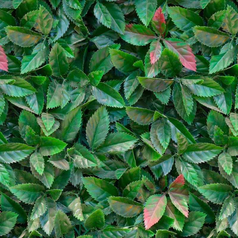 Jardin-Vertical-Jungle-50X50Cm-Fopadi