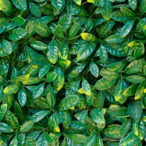 Jardin Vertical Lemon 50X50Cm Fopadi - CESPED ECUADOR