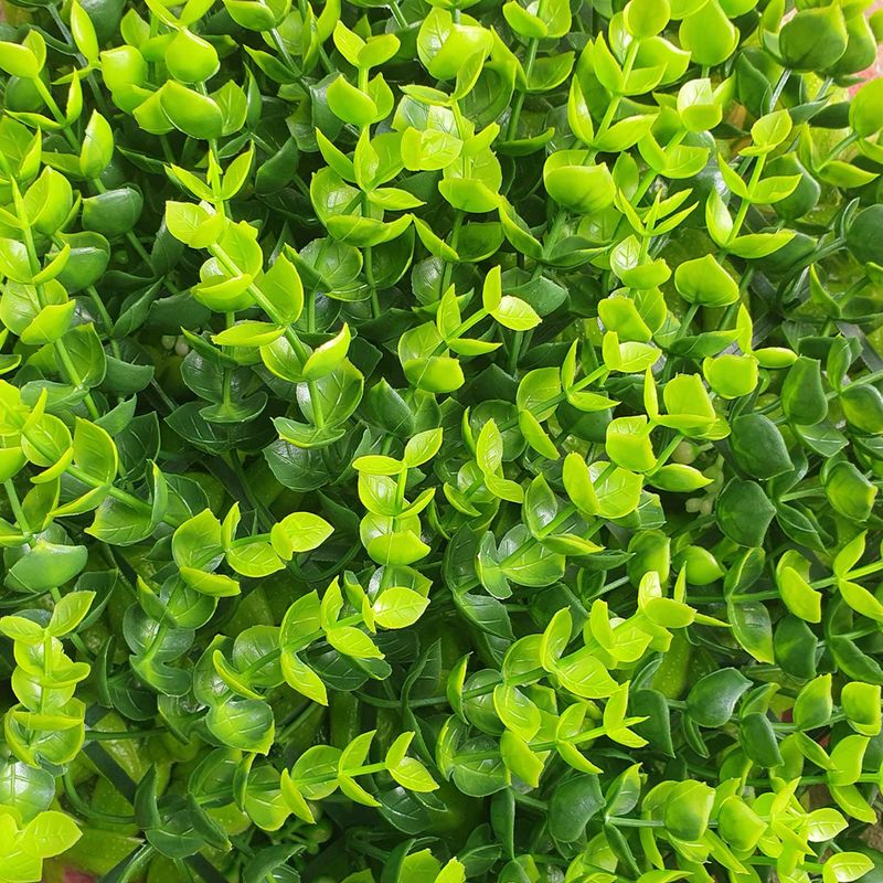 Jardin-Vertical-Lima-50X50Cm-Fopadi